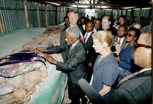 UN Under-Secretary-General Ibrahim Gambari