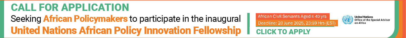 United Nations African Policy Innovation Fellowship