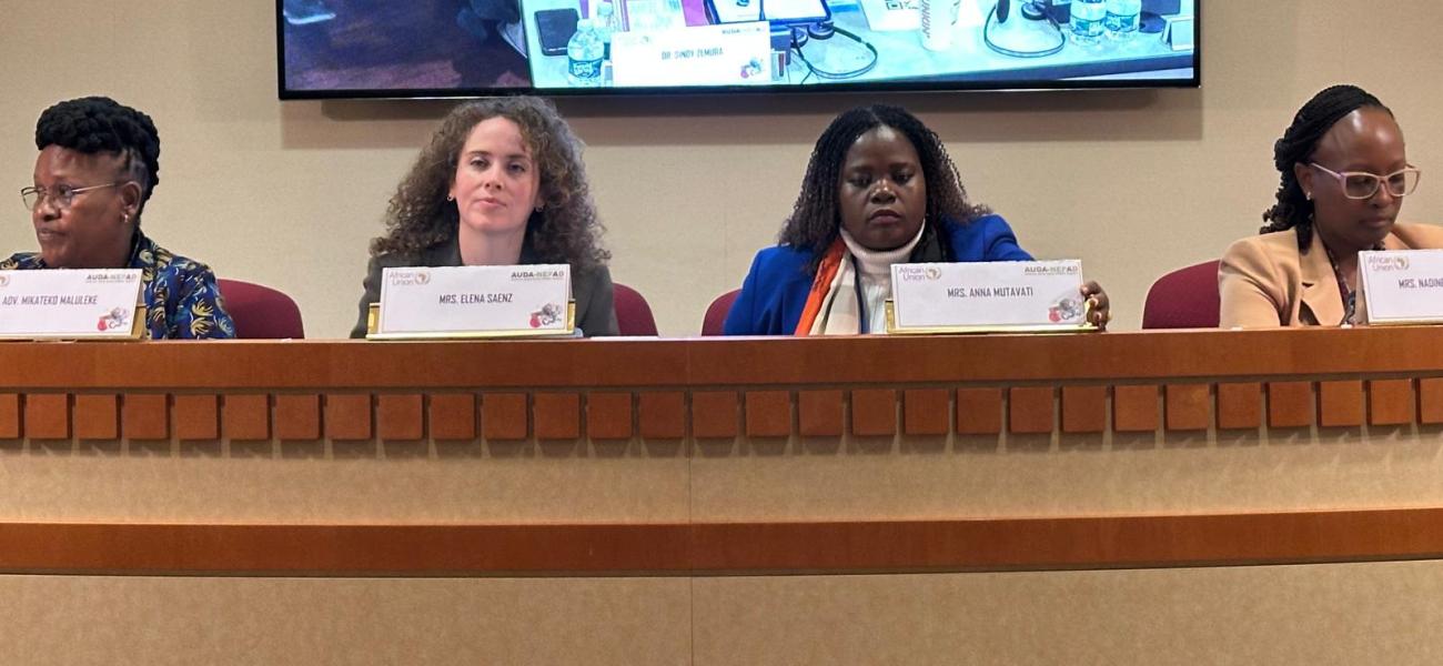 AUDA-NEPAD gender advocates