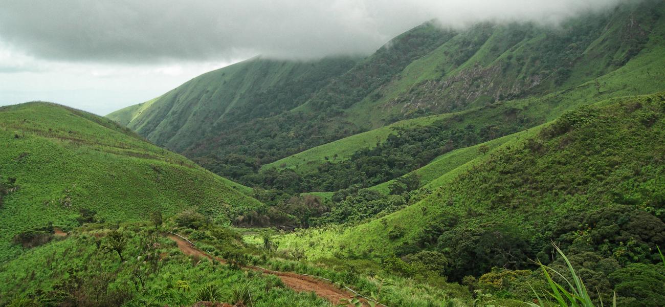 Mount Nimba Nature Reserve in Liberia.