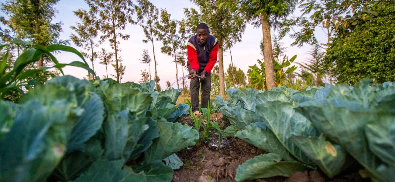 SunCulture has raised over $40 million to equip rural farmers with solar-powered irrigation systems.