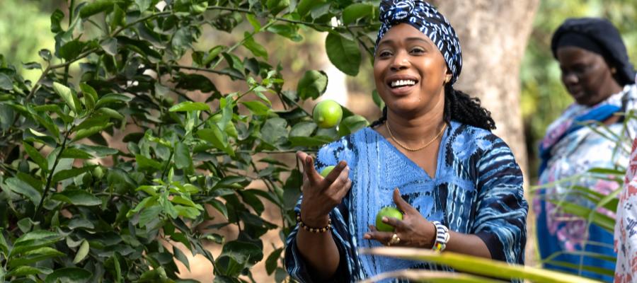 Senegalese women transforming dumpsite into urban gardens.