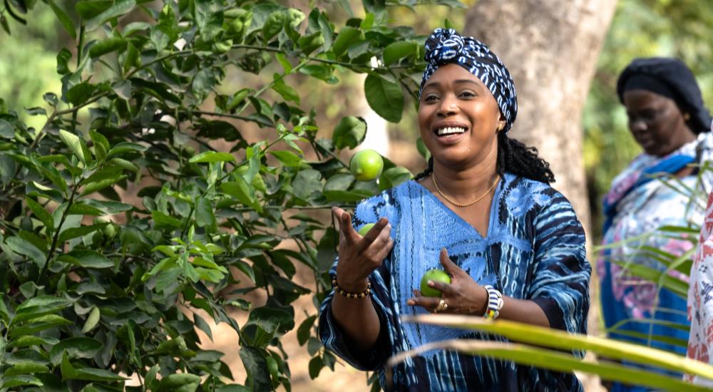 Senegalese women transforming dumpsite into urban gardens.