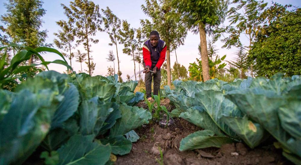 SunCulture has raised over $40 million to equip rural farmers with solar-powered irrigation systems.