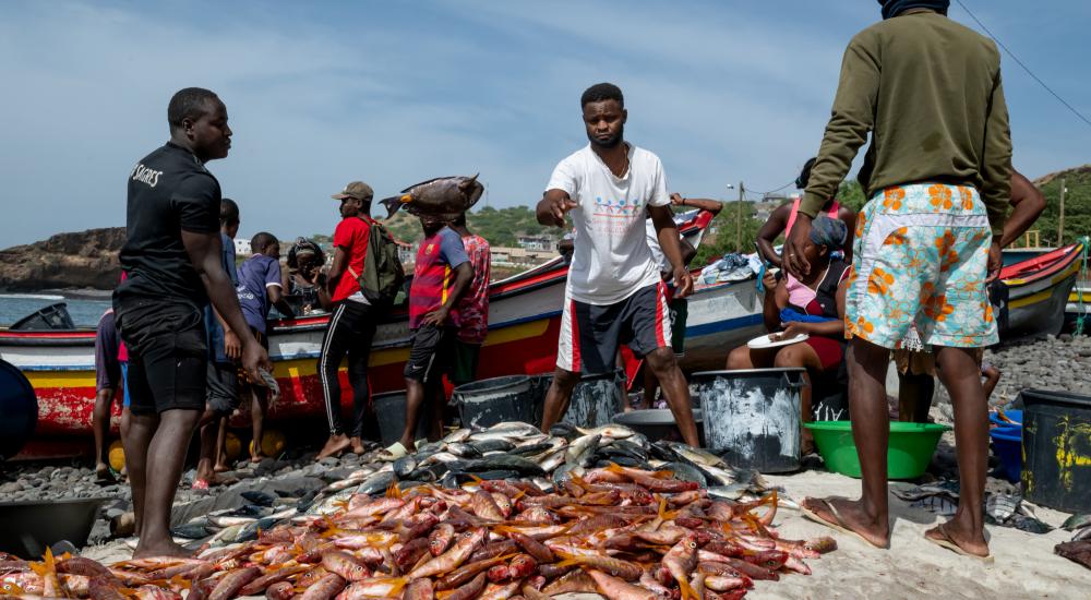 Fishing in Rincao, Cabo Verde.