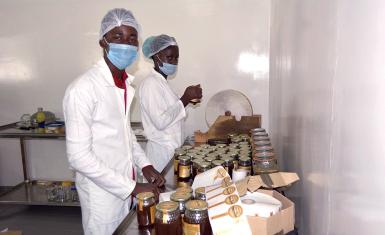 Maxmel Honey factory in Huambo.