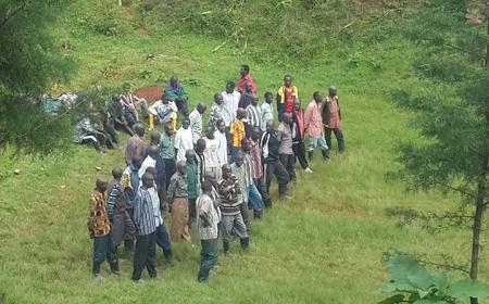 Des ex-combattants FDLR se rendent volontairement à la MONUSCO. Photo : la MONUSCO