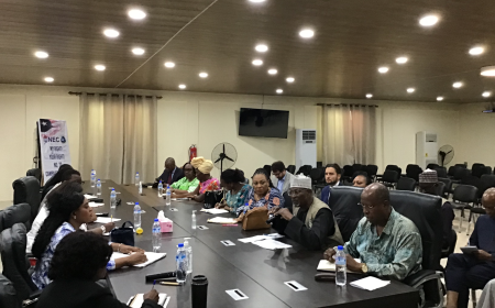 Elections in Liberia: UN-ECOWAS joint mission calls for peaceful electioneering period.