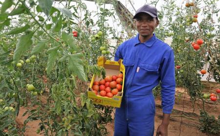 Les agriculteurs peuvent mieux conserver leurs fruits et légumes et recevoir des paiements rapides. 