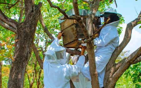 Project participants learn to install a modern beehive in Bailundo, Angola.