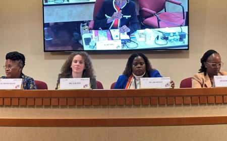 AUDA-NEPAD gender advocates