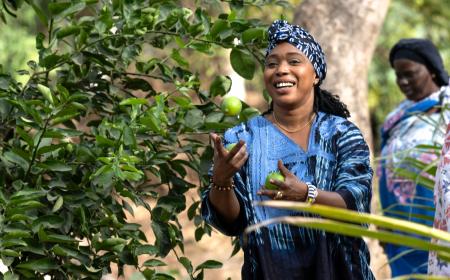 Senegalese women transforming dumpsite into urban gardens.