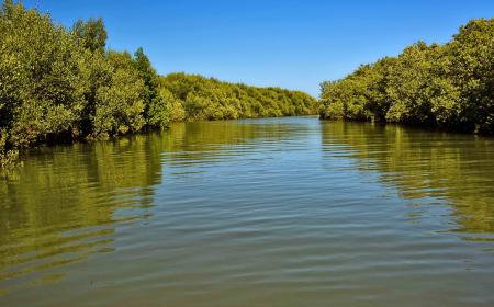 Mangroves, Madagascar. As part of the Great Blue Wall initiative, the goal is to safeguard 30% of the countries' Exclusive Economic Zones by 2030, focusing on achieving a net gain in critical ecosystems such as mangroves, corals, and seagrasses.
