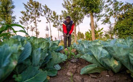 SunCulture has raised over $40 million to equip rural farmers with solar-powered irrigation systems.