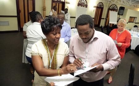 Attendees at an FAO sub-regional training workshop on gender and livestock in Harare, Zimbabwe.  