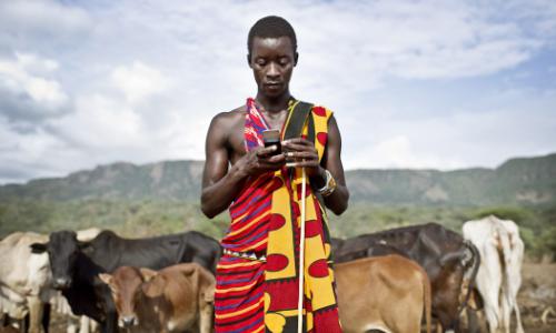 A Kenyan teacher checks his mobile phone while guarding his cattle. Photo: Panos/Sven Torfinn