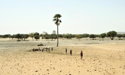 The Sahel has been battered by drought due to climate change.