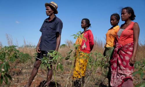 A family of farmers watch as locust-control workers spray pesticides on their land in Madagascar’s Betroka region. Photo: FAO/Yasuyoshi Chiba