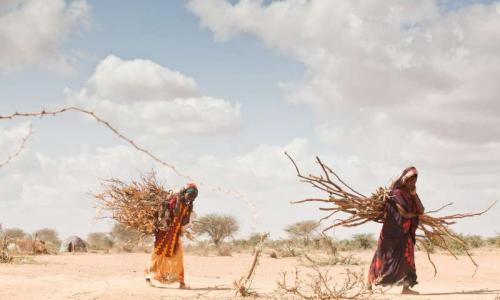 Le changement climatique entraîne des déplacements croissants en Afrique, où des régions sont ravagées par la sécheresse. 