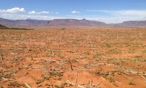 Barren fields due to the impact of El Niño-induced drought in the Southern African nation of Lesotho. Photo: FAO