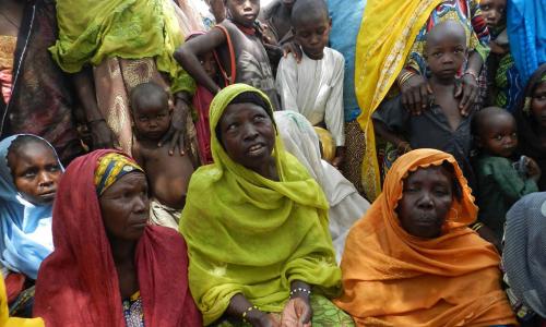 As of June 2016, 4.6 million people are severely food insecure in the Lake Chad basin, of which 65 per cent are located in Northeast Nigeria, especially in the Borno and Yobe States. Photo: FAO/Patrick David