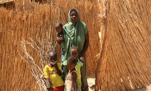 Une famille ayant fui le nord-est du Nigéria a trouvé refugé au Niger par peur des attaques du groupe terroriste Boko Haram. Photo OCHA/Franck Kuwonu