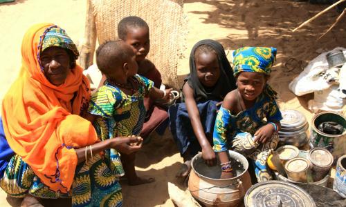 Most families who fled their homes in north-east Nigeria in fear of the militant group Boko Haram are desperate for food as their host communities across the border in Diffa, Niger, don't always have enough for themselves.