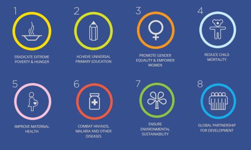 Millennium Development Goals