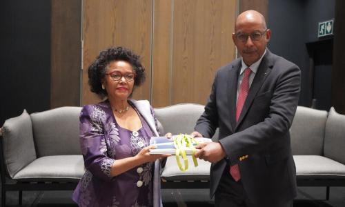 Ms. Nardos Bekele-Thomas succeeds Dr. Ibrahim Assane Mayaki as CEO of AUDA-NEPAD.