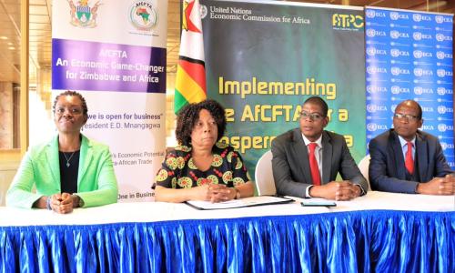 Validation of Zimbabwe's Implementation Strategy for the AfCFTA in Harare. Photo: UNECA