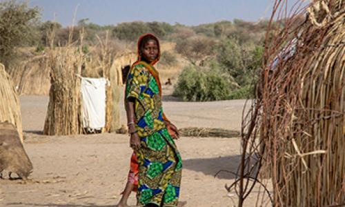 Bassin du lac Tchad : 7,1 millions de personnes peinent à avoir un repas par jour, selon l’ONU
