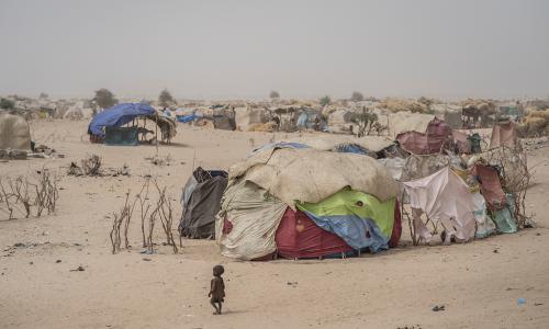 La région de Diffa au Niger est très affectée par la violence au Nigéria due au groupe armé Boko Haram. Photo: UNICEF/ Cherkaoui
