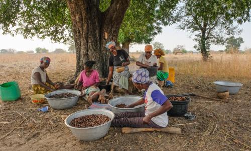 Women under a tree.