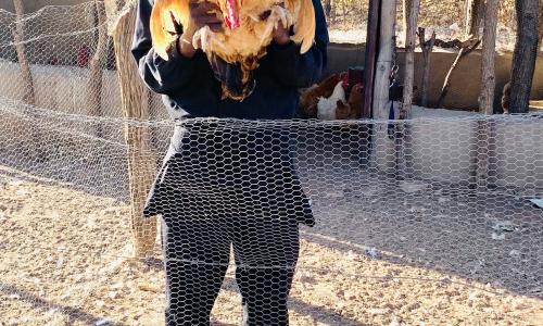 Terrence Maphosa with his poultry. Photo credit: Terrence Maphosa