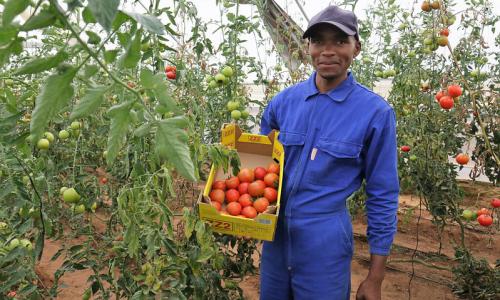 Farmers can better preserve their fruits and vegetables and receive prompt payments.