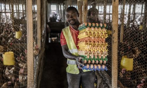 Mtu aliye na mayai ya kuku mikononi mwake.