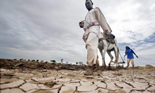 Farmers planting during a rainy season in Dali, North Darfur, Sudan. Photo: UN Photo / Albert Farran