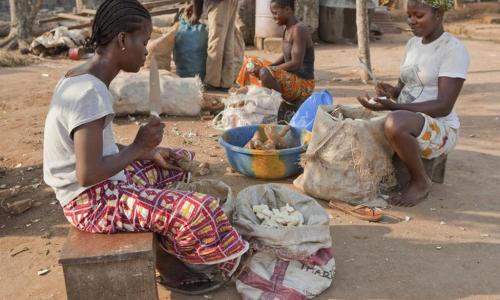 Women in Assouba, rural Côte d’Ivoire, preparing igname (yam) to sell. UN Photo/Patricia Esteve