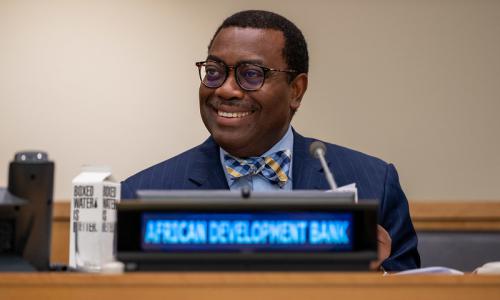 Akinwumi Adesina, President of the African Development Bank