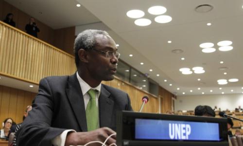Ibrahim Thiaw, Assistant Secretary-General and Deputy Executive Director of the United Nations Environmental Programme (UNEP)
