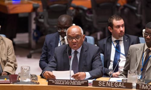 Le Représentant spécial du Secrétaire général en Guinée-Bissau,devant le Conseil de sécurité en août 2015. 