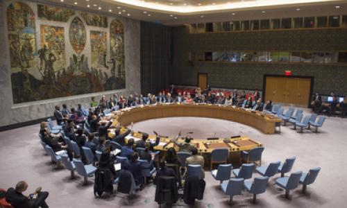 Security Council adopts resolution on new president of Gambia. Photo credit: UN Photo/Eskinder Debebe