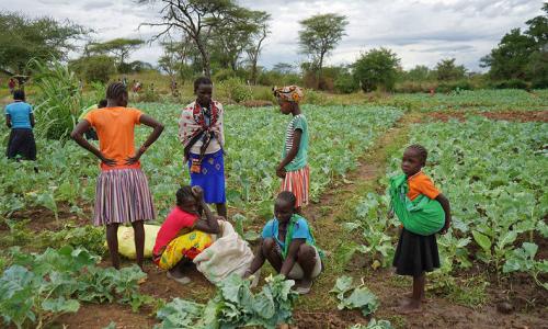Global food supply chains are complex and include these kale farmers in Uganda.