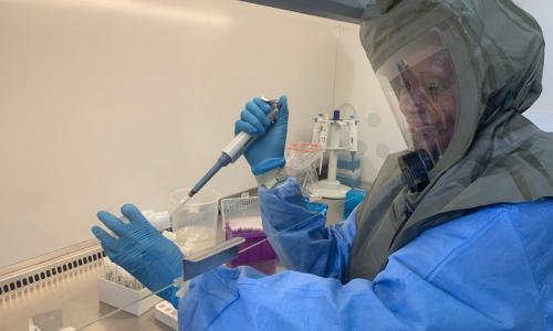 Africa records over 500 000 COVID-19 cases