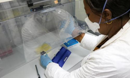 COVID-19 pandemic expands reach in Africa