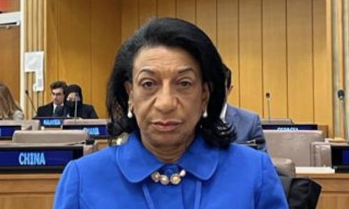 Ambassador Maria de Jesus dos Reis Ferreira