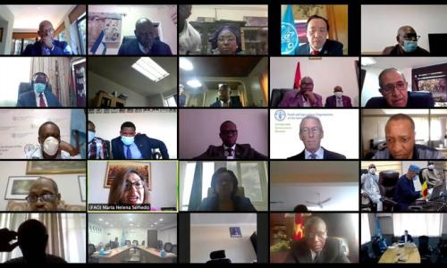 Screengrab of the FAO-AU Ministerial (virtual) Meeting on the Impacts of COVID-19 on Food Security in Africa.