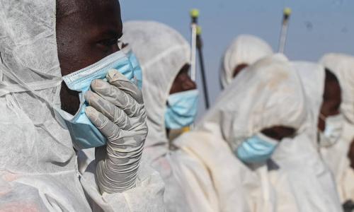 Participants in FAO's Desert locust response work in Somalia wearing face masks