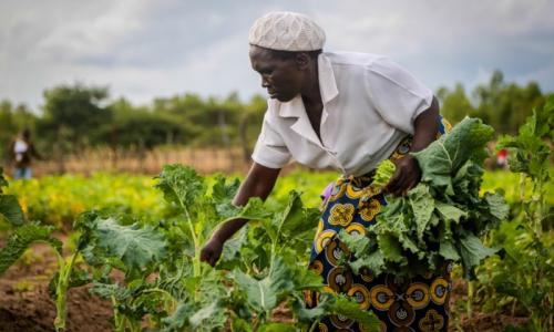 The economic contraction projected for 2020 as a result of the pandemic would disproportionately affect the poor and vulnerable, small and informal businesses, and small-scale agricultural producers