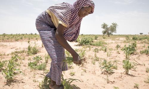 Niger inakumbana na upungufu wa chakula na viwango vya mapato ya chini